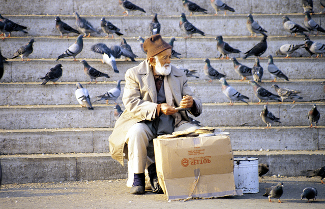 starý muž a jeho holubi na schodech ve městě